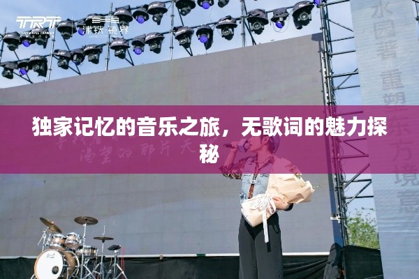 独家记忆的音乐之旅，无歌词的魅力探秘
