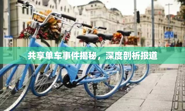 共享单车事件揭秘,深度剖析报道