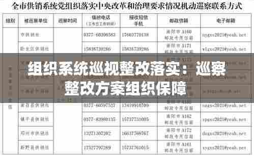组织系统巡视整改落实:巡察整改方案组织保障
