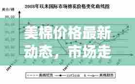 美棉价格最新动态,市场走势及影响因素全解析