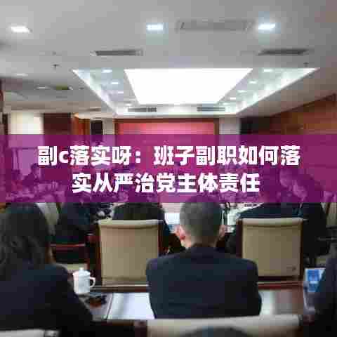副c落实呀：班子副职如何落实从严治党主体责任 