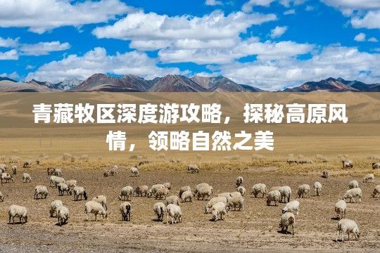 青藏牧区深度游攻略，探秘高原风情，领略自然之美