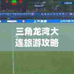 三角龙湾大连旅游攻略揭秘，畅游绝美风光，尽享绝佳体验！