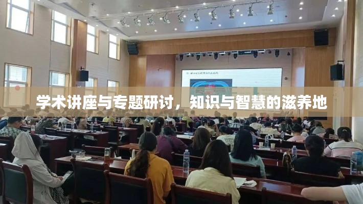 学术讲座与专题研讨，知识与智慧的滋养地