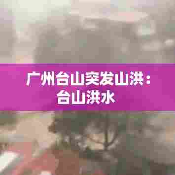 广州台山突发山洪：台山洪水 