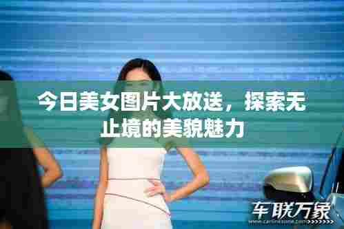 今日美女图片大放送，探索无止境的美貌魅力