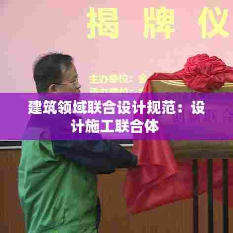 建筑领域联合设计规范：设计施工联合体 