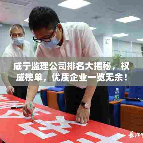 咸宁监理公司排名大揭秘，权威榜单，优质企业一览无余！