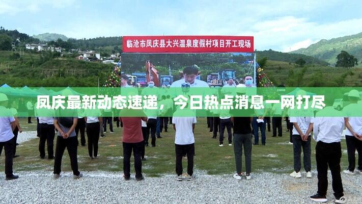 凤庆最新动态速递，今日热点消息一网打尽