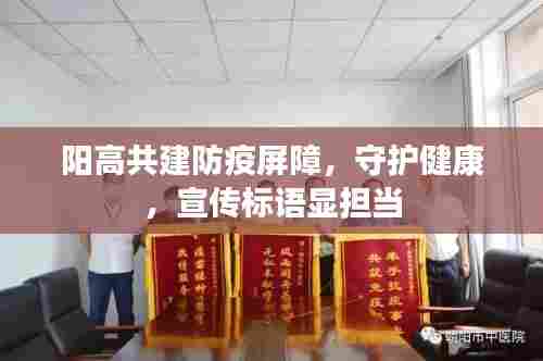 阳高共建防疫屏障,守护健康,宣传标语显担当