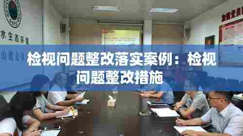 检视问题整改落实案例：检视问题整改措施 
