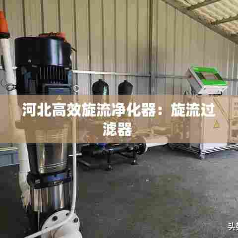 河北高效旋流净化器：旋流过滤器 