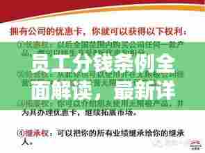 员工分钱条例全面解读，最新详解揭秘！
