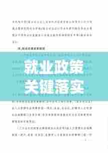 就业政策关键落实:落实就业政策说明报告
