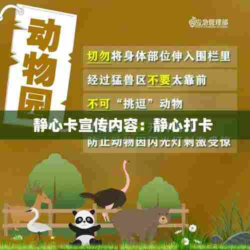 静心卡宣传内容：静心打卡 