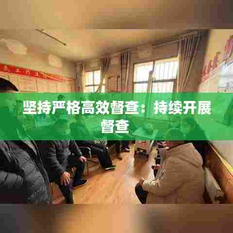 坚持严格高效督查：持续开展督查 