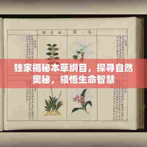 荆钗布裙 第7页