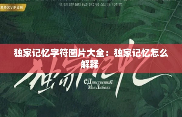 独家记忆字符图片大全：独家记忆怎么解释 