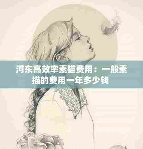 河东高效率素描费用:一般素描的费用一年多少钱