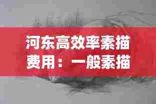 河东高效率素描费用:一般素描的费用一年多少钱