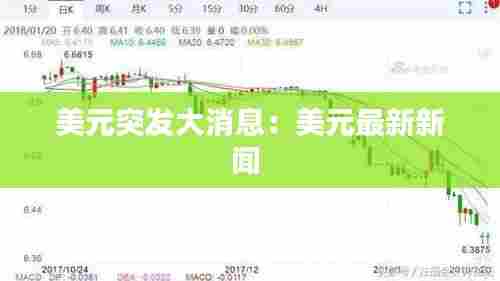 美元突发大消息：美元最新新闻 