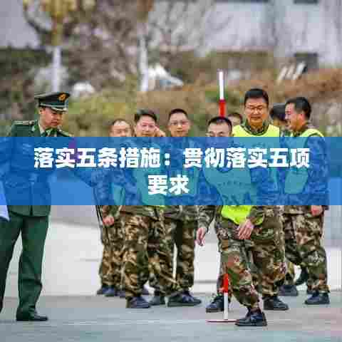 落实五条措施：贯彻落实五项要求 