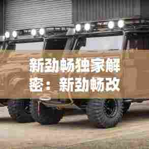 新劲畅独家解密：新劲畅改装图片 