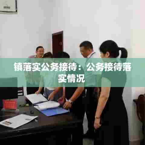 镇落实公务接待:公务接待落实情况