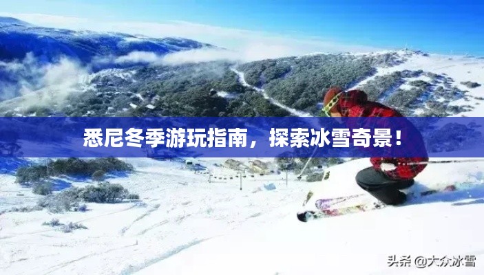 悉尼冬季游玩指南，探索冰雪奇景！