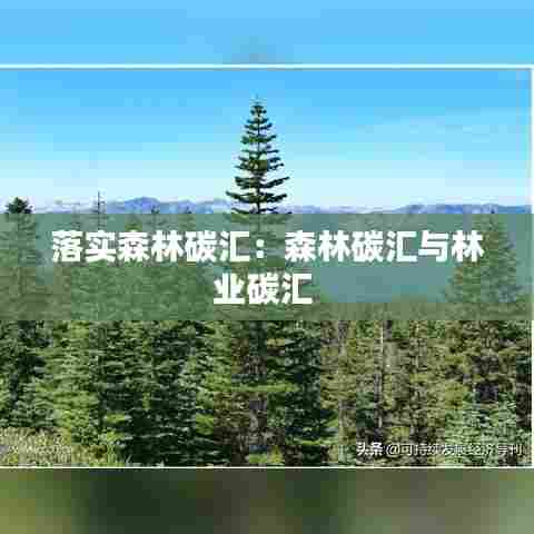 落实森林碳汇：森林碳汇与林业碳汇 