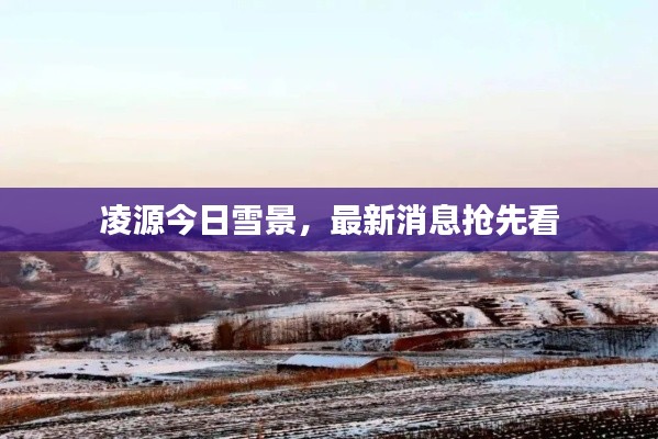 凌源今日雪景，最新消息抢先看