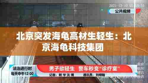 北京突发海龟高材生轻生：北京海龟科技集团 