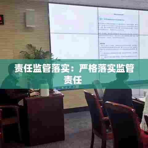 责任监管落实：严格落实监管责任 