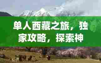单人西藏之旅，独家攻略，探索神秘高原之旅！