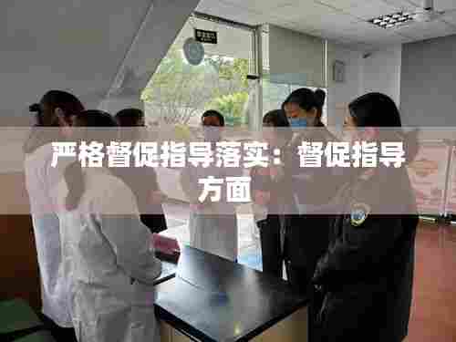 严格督促指导落实：督促指导方面 