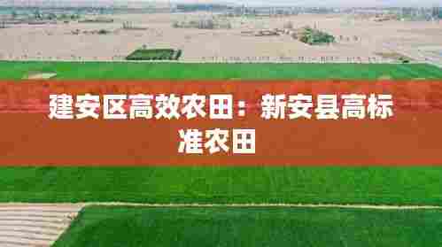 建安区高效农田:新安县高标准农田