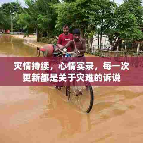 灾情持续，心情实录，每一次更新都是关于灾难的诉说