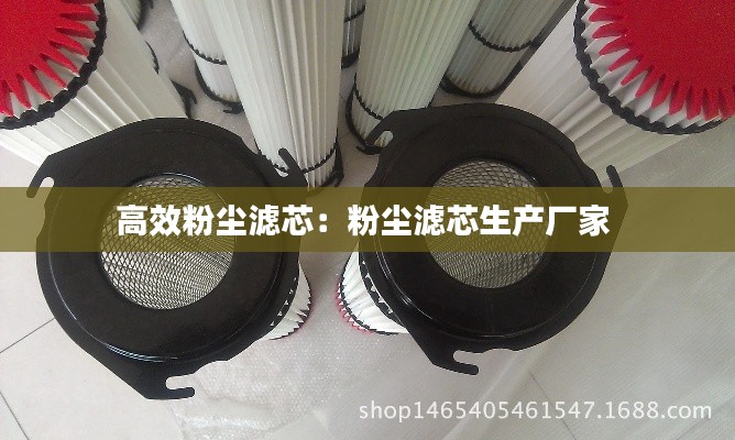 高效粉尘滤芯：粉尘滤芯生产厂家 