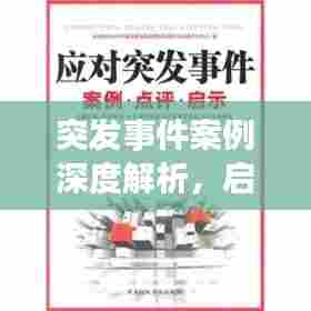 突发事件案例深度解析，启示与借鉴