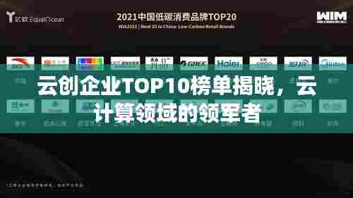 云创企业TOP10榜单揭晓,云计算领域的领军者