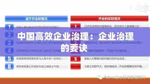 中国高效企业治理：企业治理的要诀 
