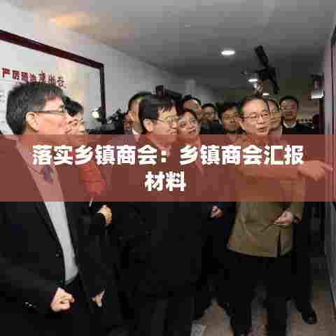 落实乡镇商会：乡镇商会汇报材料 