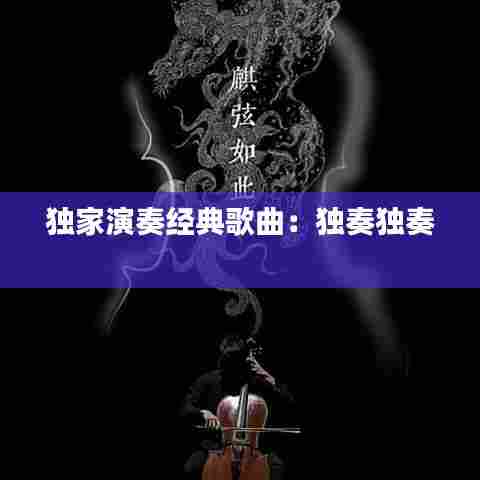 独家演奏经典歌曲:独奏独奏