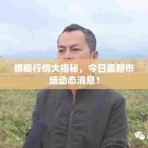 槟榔行情大揭秘，今日最新市场动态消息！