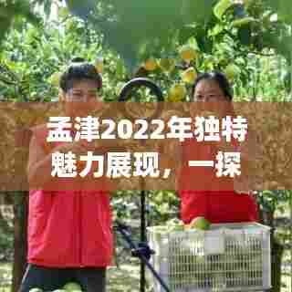 孟津2022年独特魅力展现，一探这片土地的魅力风采