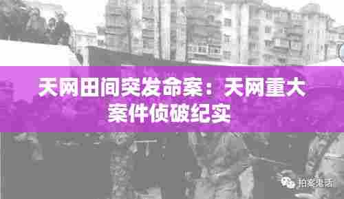 天网田间突发命案:天网重大案件侦破纪实