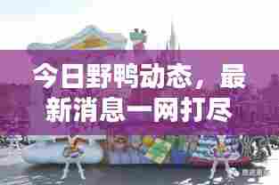 今日野鸭动态，最新消息一网打尽