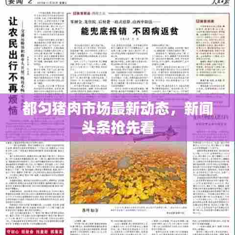 都匀猪肉市场最新动态，新闻头条抢先看