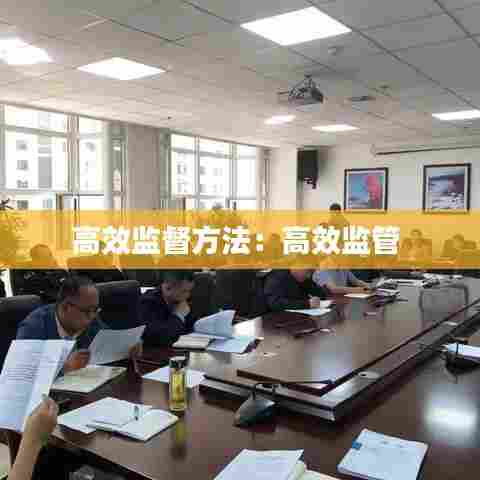 高效监督方法：高效监管 