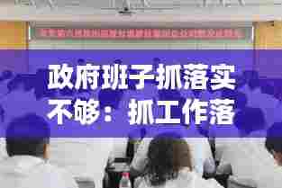 政府班子抓落实不够：抓工作落实不够 